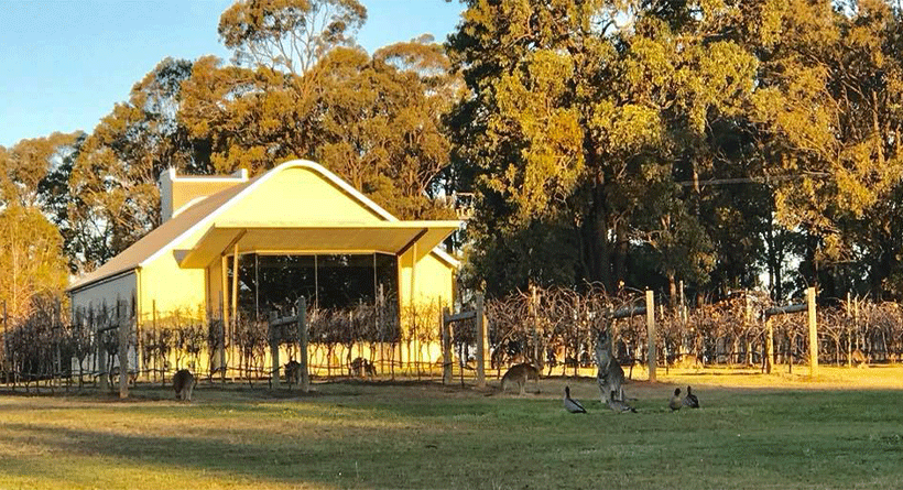 Peter Drayton Wines Property